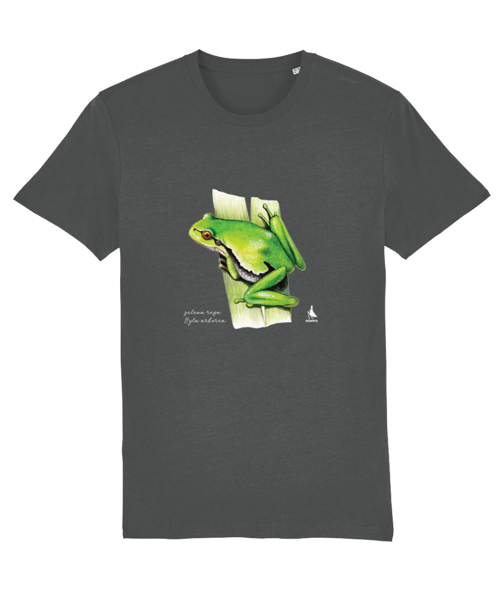 Majica s kratkimi rokavi (siva) - zelena rega