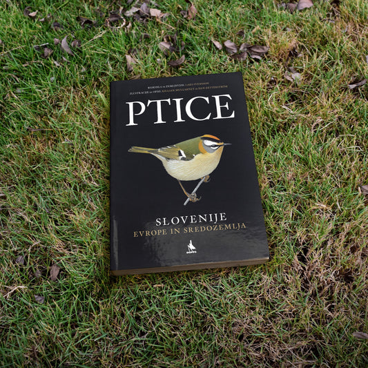 Ptice Slovenije, Evrope in Sredozemlja