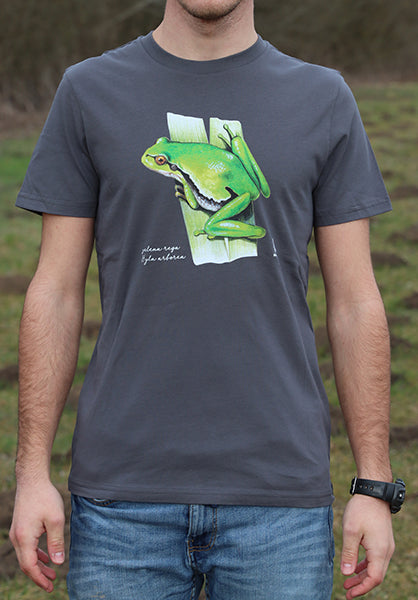 Majica s kratkimi rokavi (siva) - zelena rega