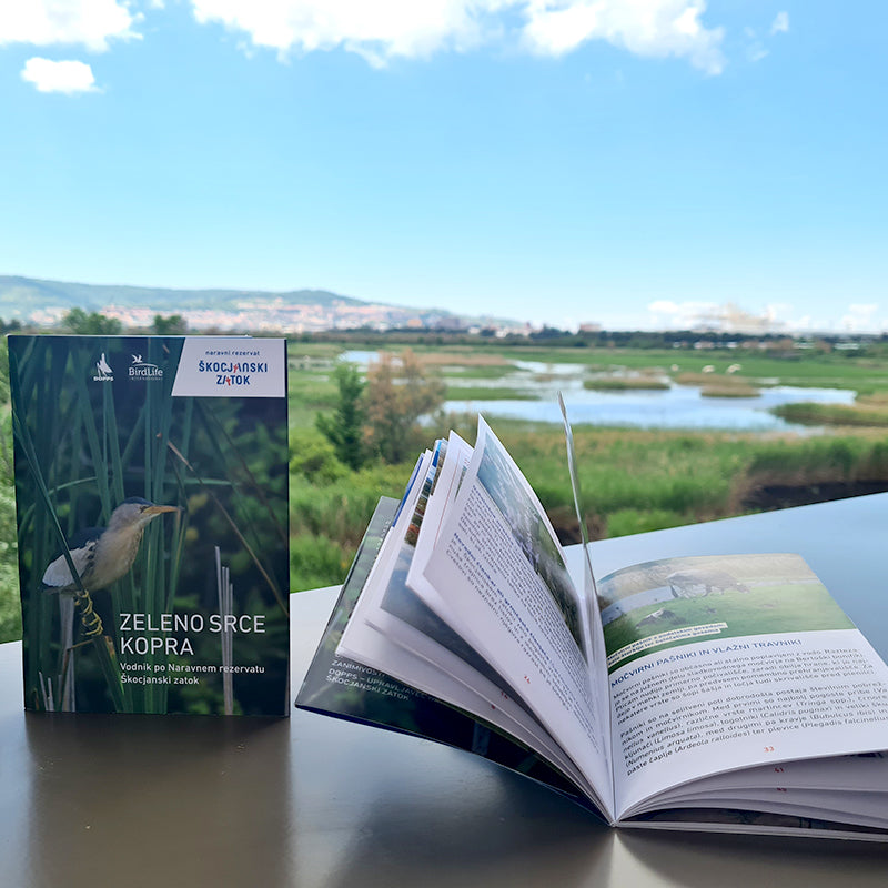 Vodniček Zeleno srce Kopra