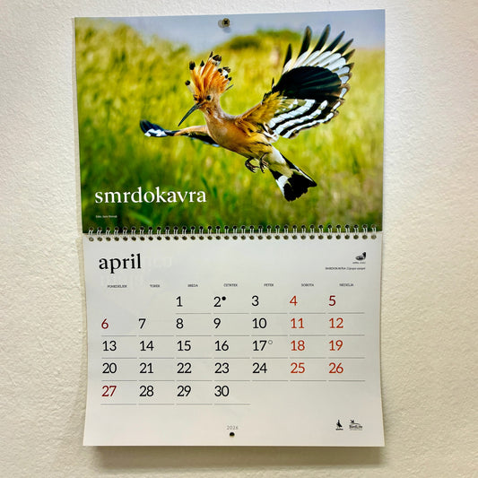 Koledar Ptice Slovenije 2026